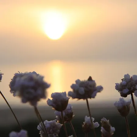 Casas Da Supertubos *