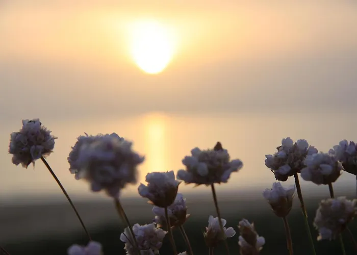 Casas Da Supertubos *